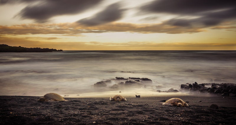 clouds, landscape, solid, turtle, horizon, cloud - sky, horizon over water, rock, 1080P, nature, rest, land, beauty in nature, scenics - nature, no people