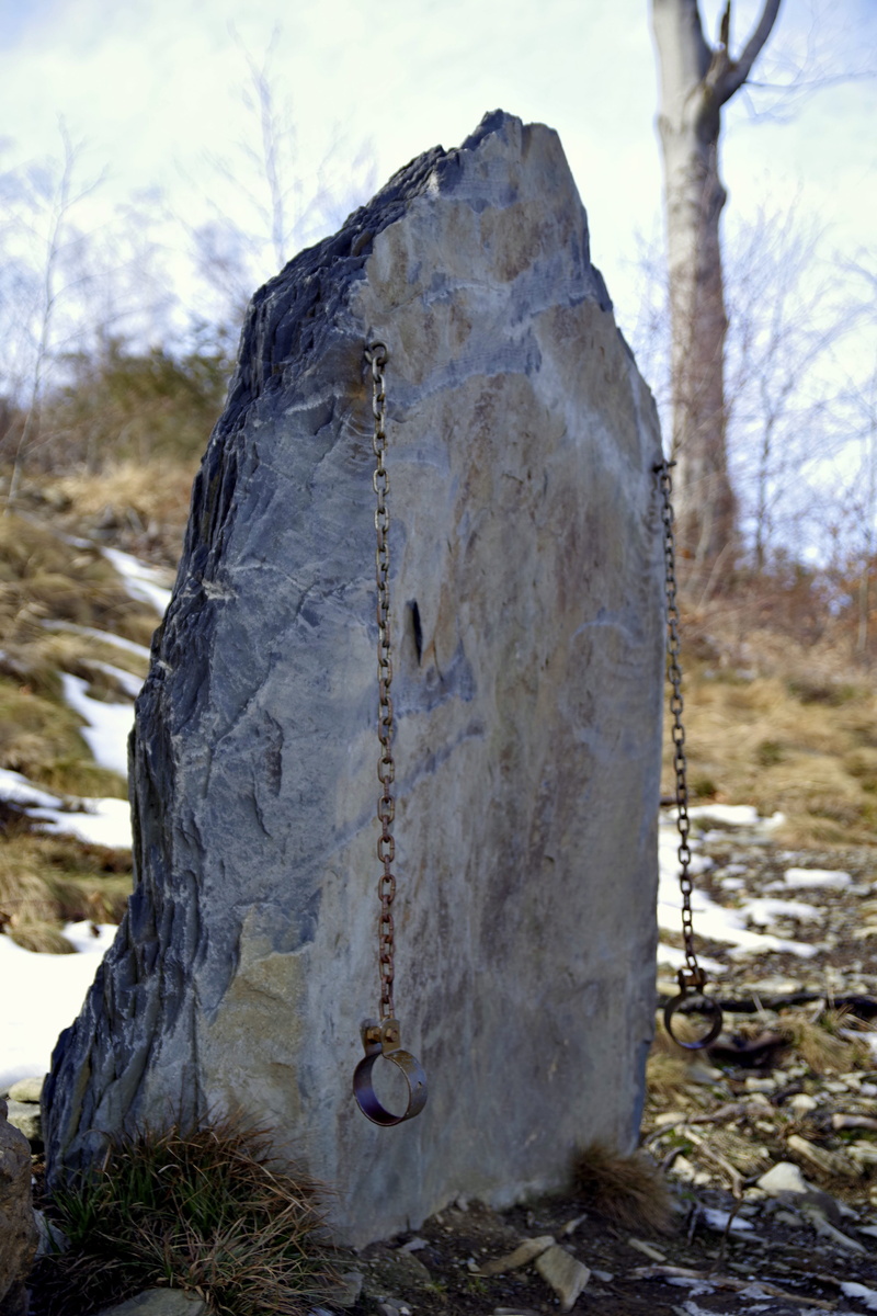 solid, plant, day, outdoors, mounting, cold temperature, tombstone, stone, tree trunk, tranquility, close-up, bonds, winter, escape, tree, focus on foreground