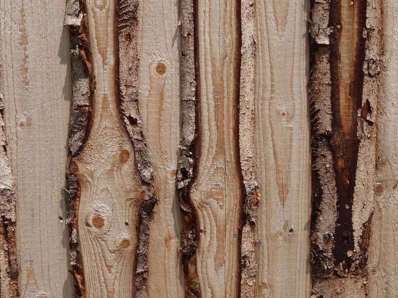 limit, close-up, wood fence, demarcation, day, tree, photo, site, rough, old, brown, textured effect, boards, full frame, taking, weathered, pattern, wood grain