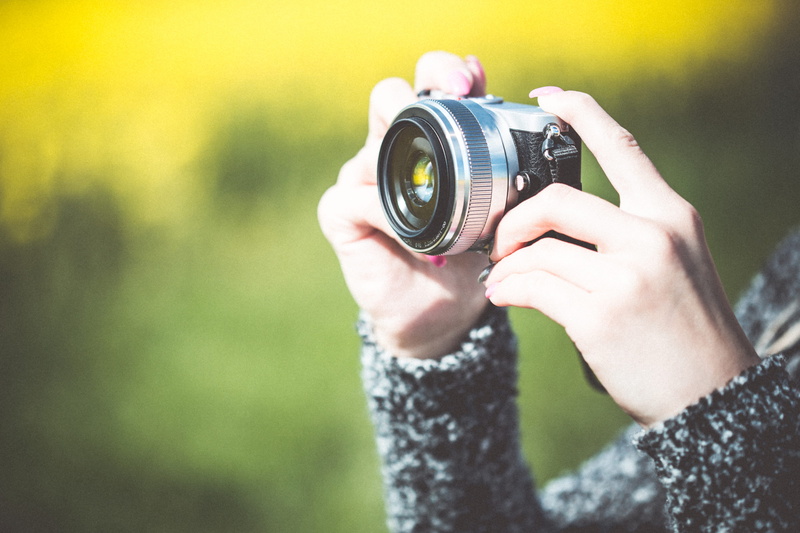 looking through an object, photographer, caucasian Ethnicity, hands, Mirrorless Camera, young Adult, capturing, Small, nature, taking, photographic equipment