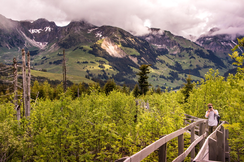 mountain Peak, web, mysthisch, lothar, personal, tree, rural Scene, green Color, hill, leisure activity, Boardwalk, land, adult, reafforestation, lonely