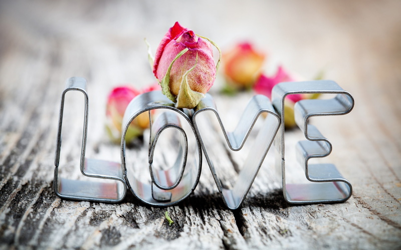 love, cutter, rose, s, 2K, Best s