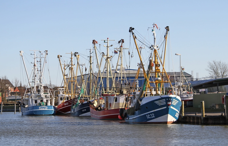 sky, nautical vessel, husum, fishing port, port, yacht, north sea, moored, water, day, no people, clear sky, mode of transportation, harbor, fishing industry