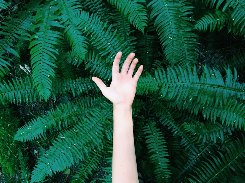 day, arms raised, one person, human hand, nature, outdoors, human limb, body part, real people, plant, plant part, tree, reach, unrecognizable person, finger