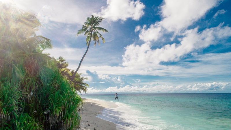 tropical tree, person, travel, horizon, recreation, 5K, beautiful, summer, palm tree, coconut palm tree, daylight, horizon over water, tranquility, island