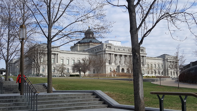 branch, city, incidental people, dome, washington, tree, building exterior, jefferson building, plant, sky, building, c, park bench, bare tree, us library of congress