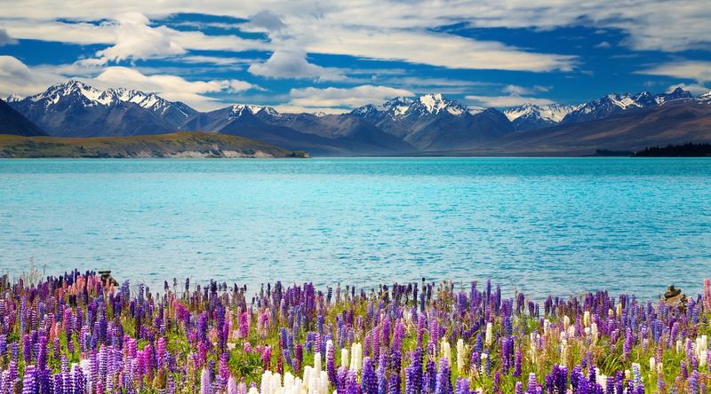 purple, no people, environment, cloud - sky, mountain range, land, lake tekapo 4k  hd desktop  background, nature, water, snowcapped mountain, plant, mountain