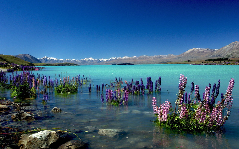 outdoors, sky, blue, lake, nature, clear sky, lagoon, tranquil scene, no people, beauty in nature, day, travel destinations, new, 2K, hd, flowering plant