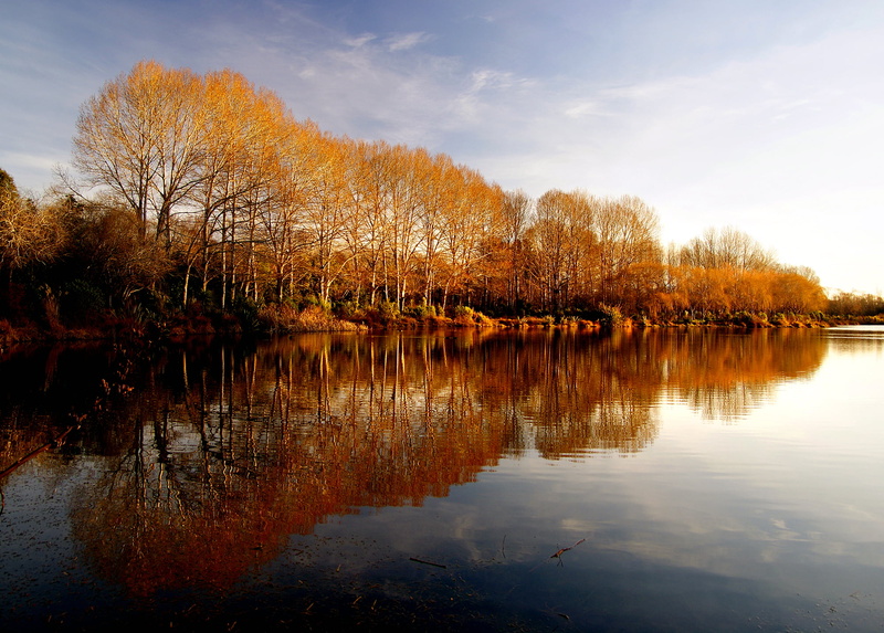 geo tagged, water, reflection, Seasons, Sony DSLR A300, CC0, trees, Pond, season, body, Autumn, NZ, Christchurch, photos, nature, outdoors, 1080P, day