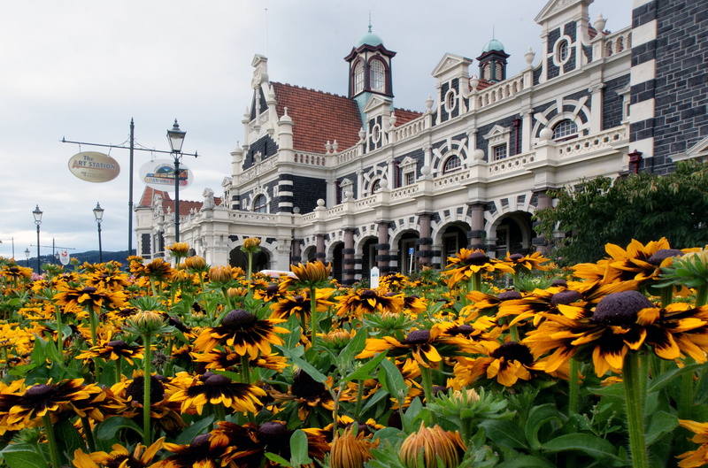 near, Dunedin Railway Station, photos, dunedin, Sony, 1080P, Geo-Tagged, field, concrete, station, railway, sunflower, famous Place, architecture, flower