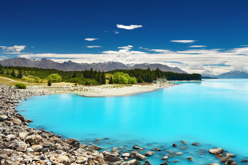 NZ, New Zealand, zealand, trees, seashore, mountains, Nature, photography, new, 4K, pine, Lake