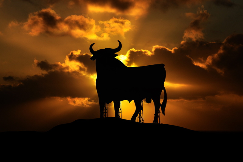 pets, standing, cloud - sky, 5K, sunset, spain, animal themes, nature, domestic, domestic animals, herbivorous, no people, sky, livestock, dawn, silhouette