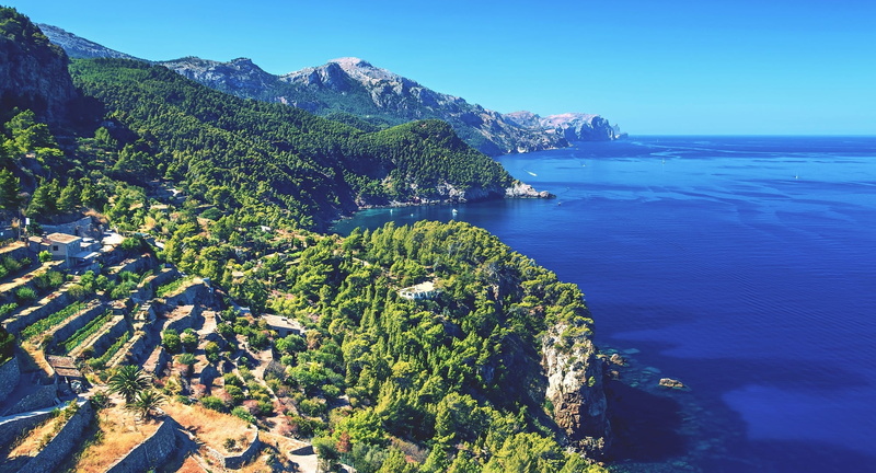 green, cliff, outdoors, west coast of majorca, water, western mallorca, cultivation, plant, 1080P, day, tranquility, high angle view, trees, travel, sea ​​view