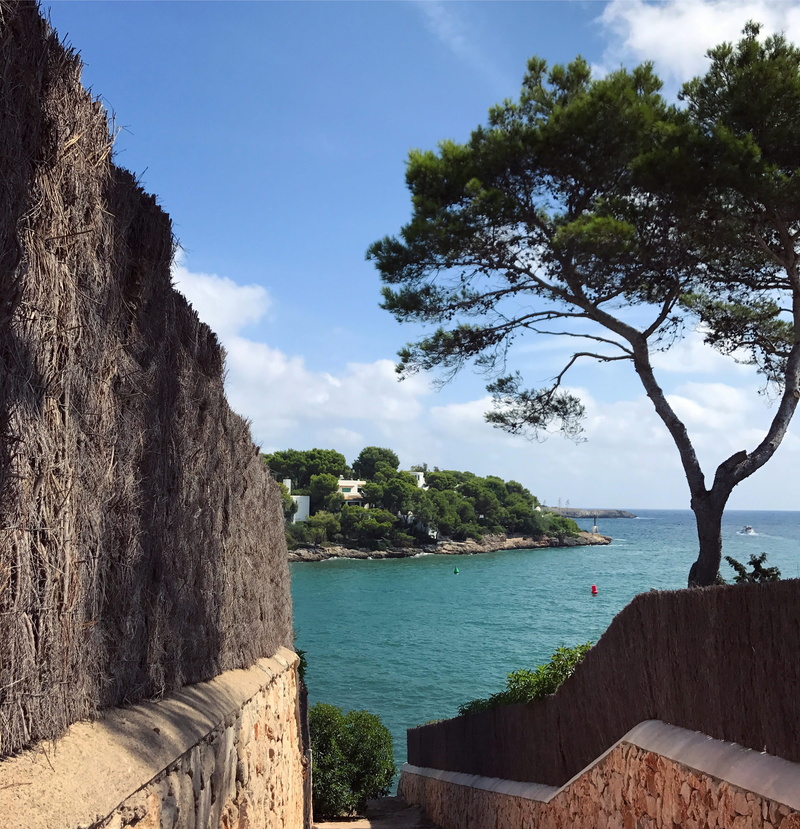 day, majorca, built structure, nature, cloud - sky, tree, outdoors, spain, growth, beauty in nature, sky, architecture, no people, scenics - nature, sea