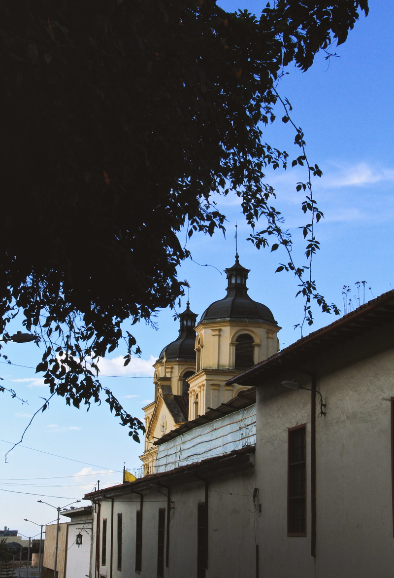 iglesia, building exterior, cundinamarca, cielo, outdoors, colonia, colombia, cross, nature, spire, republica, tree, built structure, centro de bogotá
