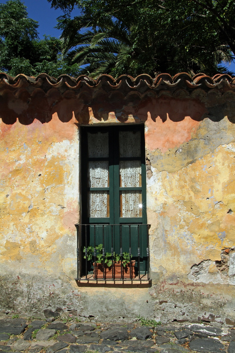 day, colonia, calle de los suspiros, building exterior, travel, plant, landmark, leaf, window, building, outdoors, sunlight, no people, town, tree, wall
