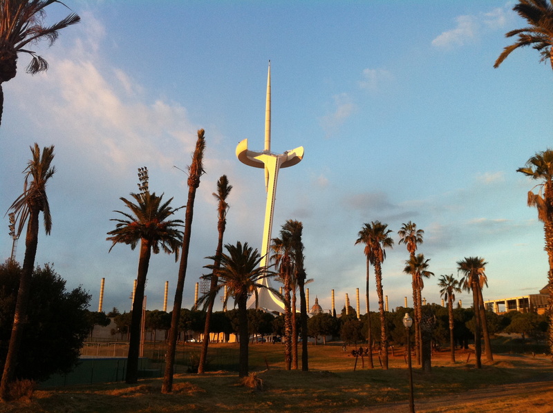 spain, tree, growth, montjuic, land, plant, 2K, no people, catalonia, landscape, landmarks, tropical climate, tower, palm, scenics - nature, environment
