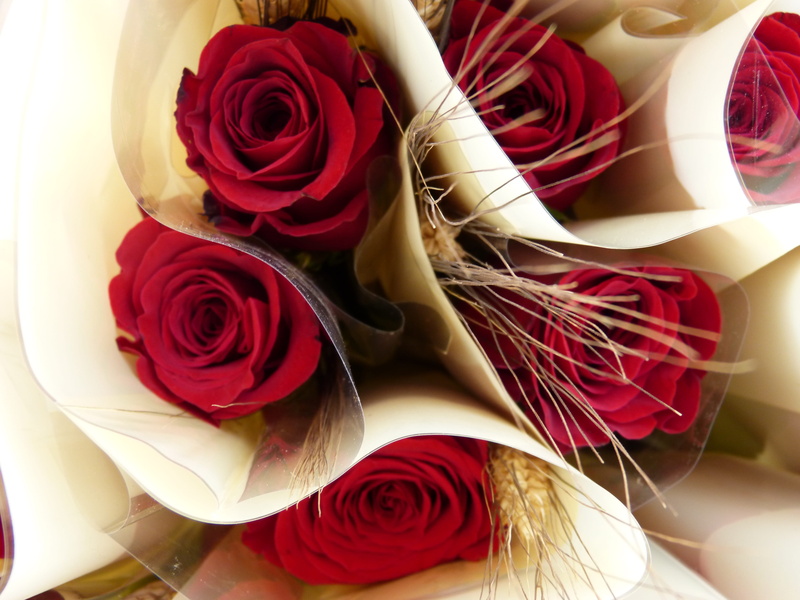 sant jordi, inflorescence, petal, roses, flower, rosa, flower arrangement, bunch of flowers, vulnerability, beauty in nature, rose, flower head, 4K, rose - flower