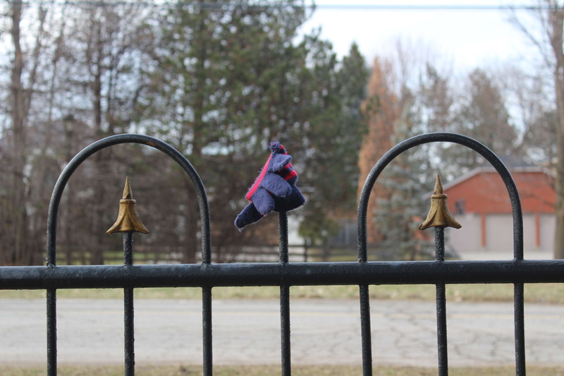 forgotten, focused, day, winter clothes, nature, childhood, women, barrier, child, gates, winter gear, outdoors, plant, real people, 4K, railing, community
