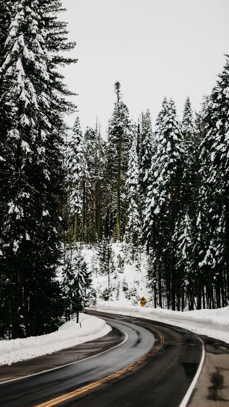 covered, beauty in nature, hill, snow, plant, ice, nature, the way forward, asphalt, no people, frigid, cloudy, windy road, transportation, road, tranquility
