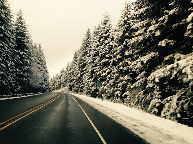 sign, tree, pacific, nature, Mountain, double yellow line, winter, diminishing perspective, scenics - nature, plant, beauty in nature, road, dividing line