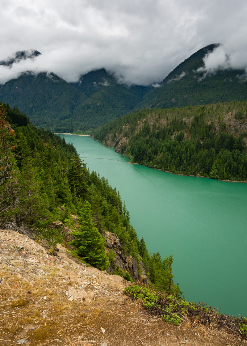 sky, tranquil scene, pacific northwest, outdoors, non-urban scene, mountain, green color, lake, landscape, no people, trees, diablo lake, plant, turquoise colored
