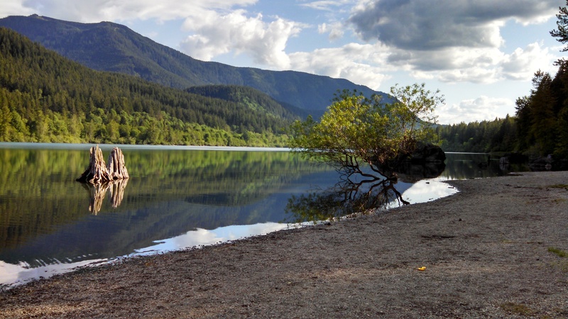 snag, cloud, non-urban scene, reflection, lake, sky, water, horizon, shore, scene, tranquil scene, 2K, rattlesnake lake, northwest, green, land, plant