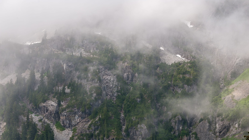 forest, travel destinations, mountain peak, plant, high angle view, rocks, pacific northwest, alpental parking lot, nature, coniferous tree, united states