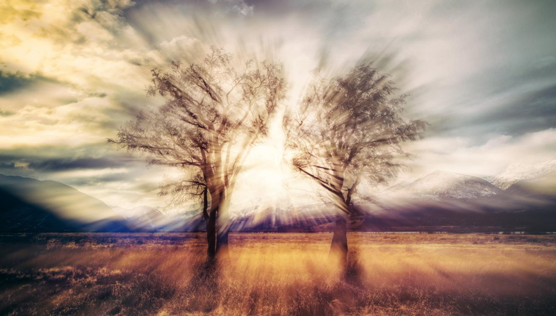 ratcliff, landscape, trees, hdr, tree, trey ratcliff, 1080P, silhouette, trey