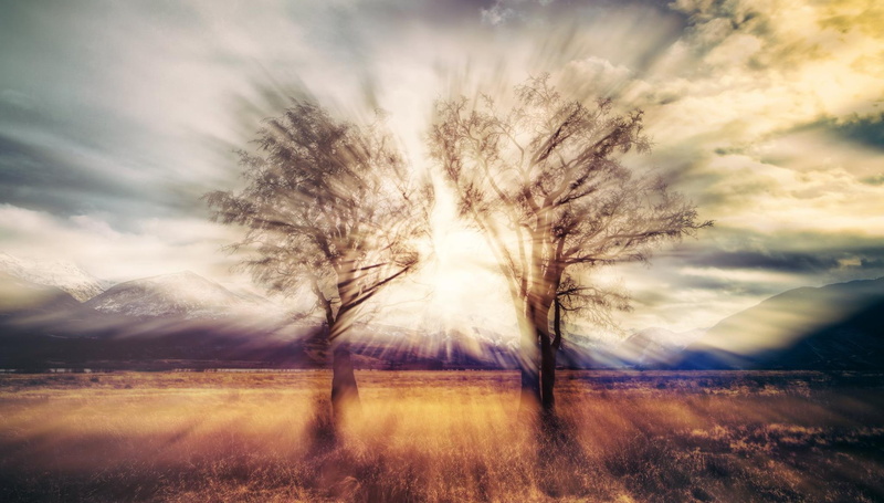 beauty in nature, land, 1080P, environment, tree, nature, cloudscape, sky, plant, hdr, scenics - nature, outdoors, dramatic sky, bare tree, cloud - sky