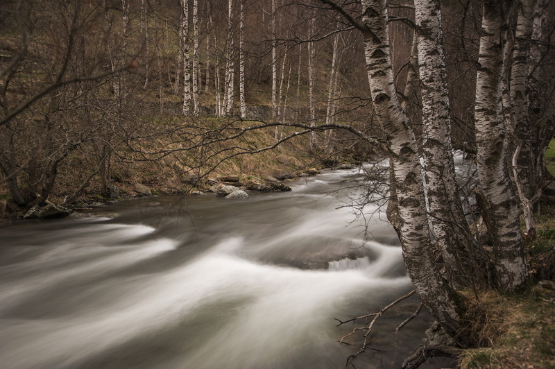 Wild Water, river, outdoors, tree, Rio Valira, photo, salvaje, 4K, winter, de, Ordino, scenics, Agua, forest, Nature Photography, libre, Running, nature