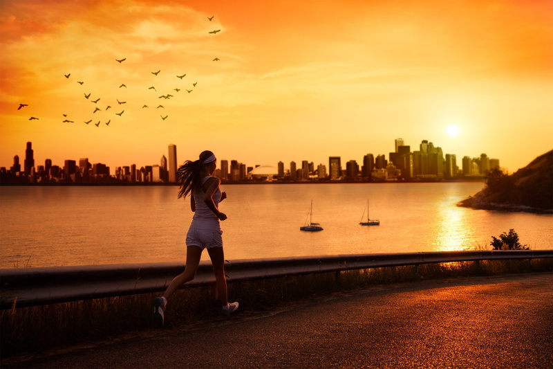 birds, morning, young Adult, people, action, bridge - Man Made Structure, beautiful, leisure Activity, water, urban Skyline, full screen, running, river