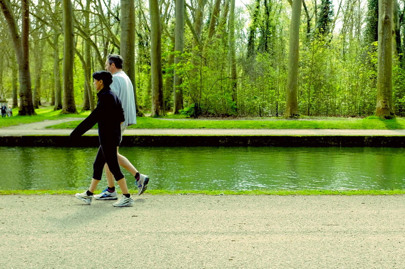 weekend, plant, nature, 2K, tree, park, health, side view, green, couple, water, healthy lifestyle, happiness, running, young adult, real people, lake
