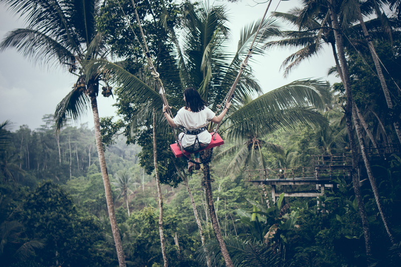 bali, hair, tropical, beauty in nature, indonesia, recreation, forest, young, plant, fun, hanging, edge, wild, tourism, palm tree, landscape, real people