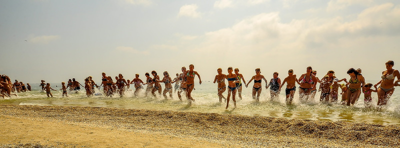 sport, Sea, landscape, enjoyment, Water, women, outdoors, adult, crowd, men, running, animals in the wild, real people, lifestyles, fun, Charging, 4K