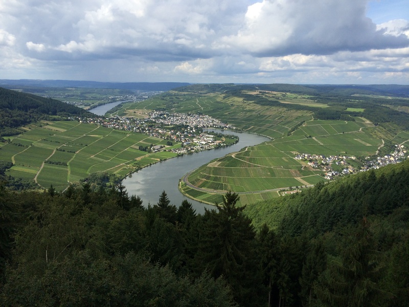 green color, field, environment, mehring, 2K, high angle view, landscape, mosel, cloud - sky, agriculture, germany, nature, plant, outdoors, scenics - nature