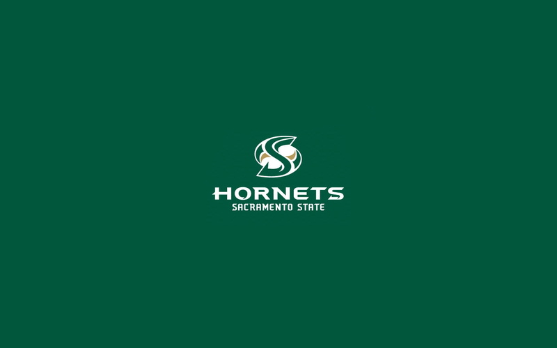 Sacramento State, business, basketball, student, sacramento, sports, CSUS, MIS, Sac States, Business Student, art, hd, state, misa, 720P