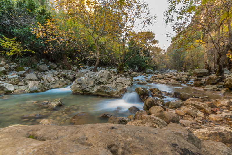 beauty In Nature, nature, scenics, creek, beside, lebanon, day, landscape, trees, flowing Water, time, waterfall, wide  angle, outdoors, River, formation
