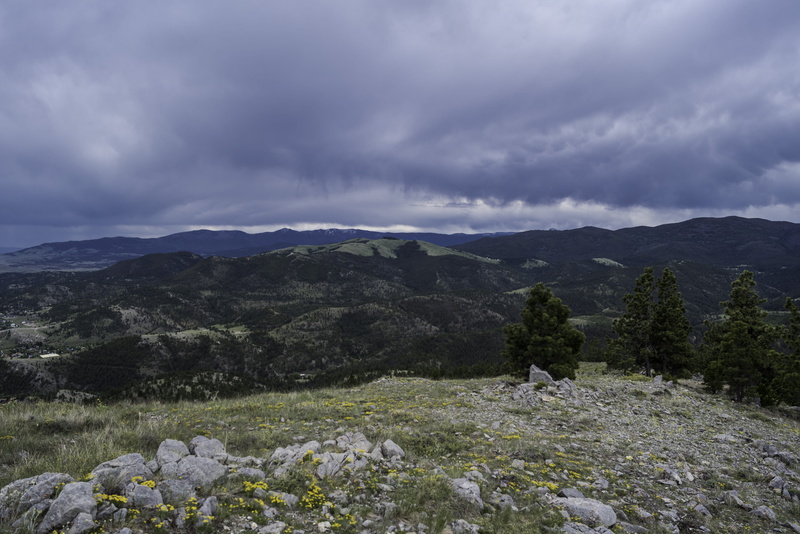 beauty In Nature, summer, mountain, scenics - nature, overcast, montana, sky, outdoors, coniferous tree, storm cloud, top, dramatic sky, hill, public domain