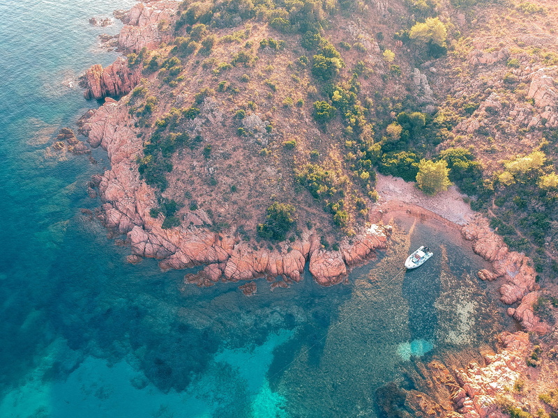 beside, speedboat, water, nature, coral reef, tranquility, scenics - nature, sea life, ocean, white, animal, boat sail, day, tranquil scene, drone shot of sea side