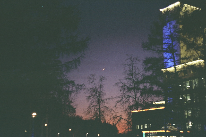 tree, nature, neon, sky, 2K, city, zenit ttl, illuminated, building exterior, dark, russia, full moon, low angle view, соединенные штаты америки, 35mm