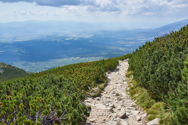 hill, land, hills, plantation, from the top of the, landscape, 5K, plant, idyllic, rocks, tree, water, kriváň, day, green color, mountain, path, walkway