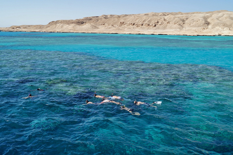 scenics - nature, diving, animals in the wild, animal themes, sea, animal, swimming, snorkeling, group of animals, island, marine, coral reef, egypt, no people