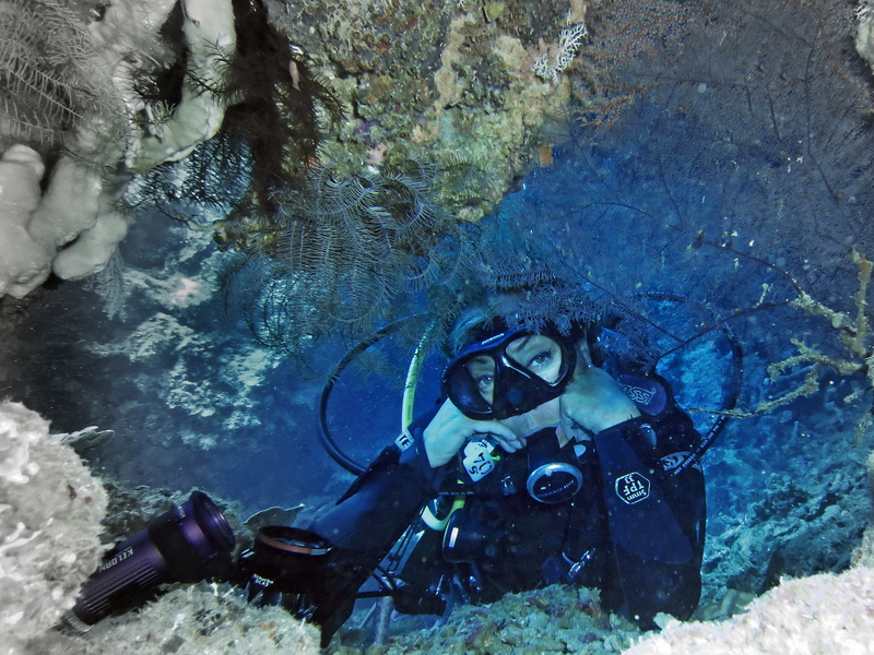 sport, woman, real people, 4K, scuba, exploration, diver, swimming, nature, water, aqualung - diving equipment, underwater, diving equipment, ocean, diving suit
