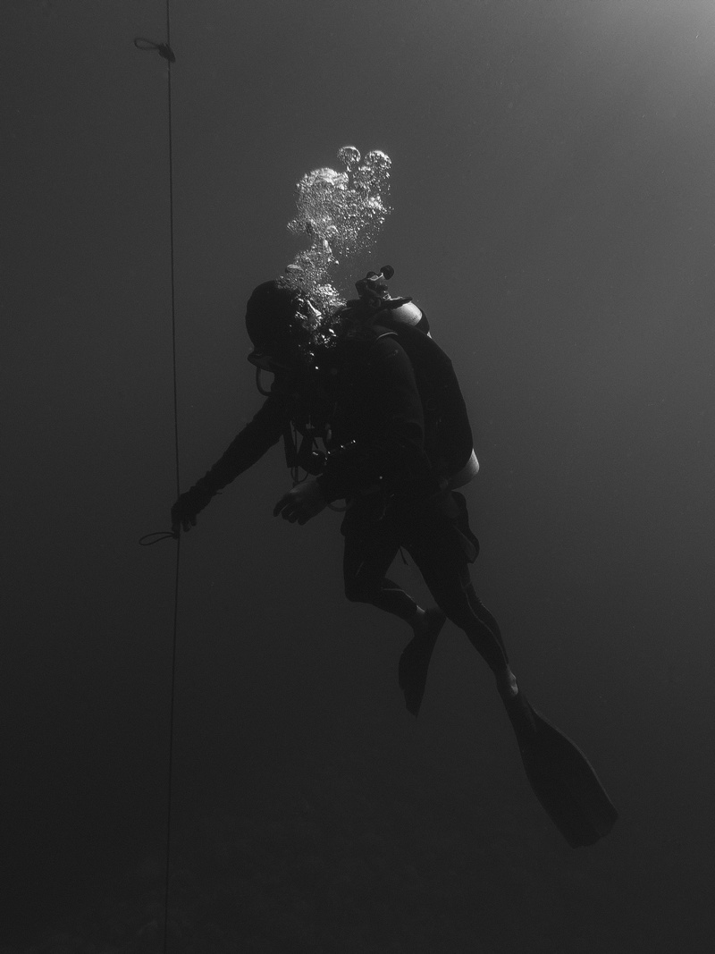 sport, 2K, underwater diving, snorkling, person, equipment, one person, real people, diving equipment, water, lifestyles, adventure, sea, underwater, aquatic sport