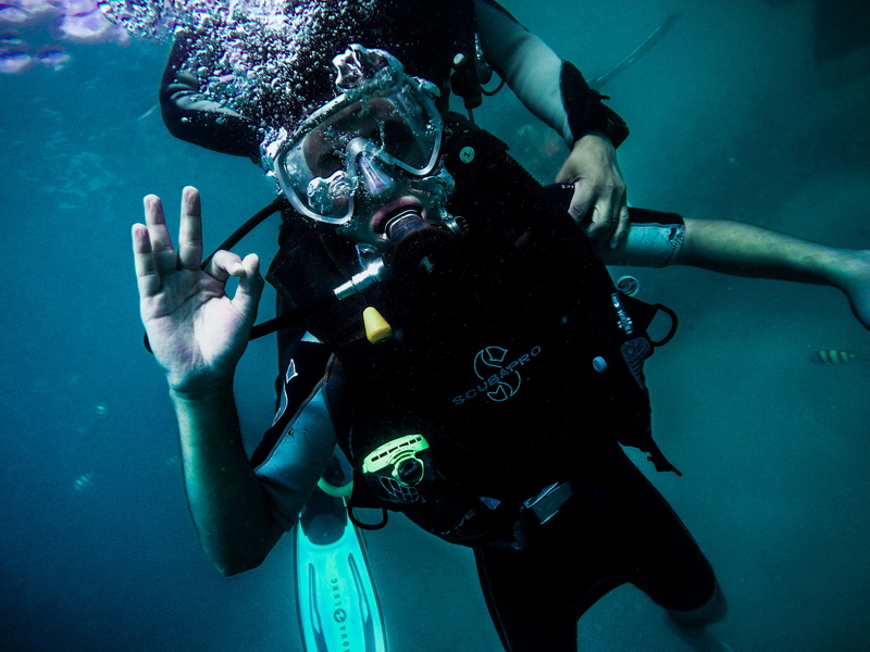 water, scuba Diving, suit, leisure activity, aqualung - diving equipment, undersea, diving, scuba mask, exploration, scuba diver, scuba, bubble, one person