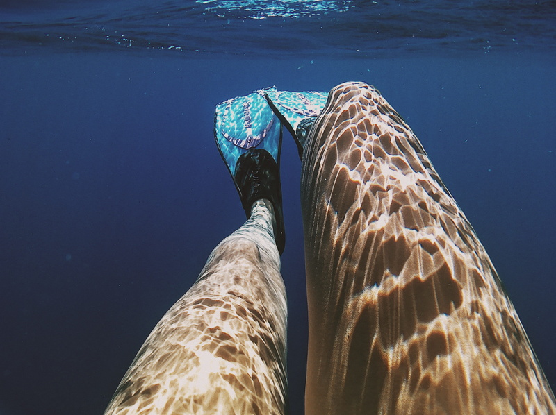 personal perspective, animal wildlife, water, human leg, photography, s, undersea, lifestyles, animals in the wild, feet, human foot, human limb, jeans