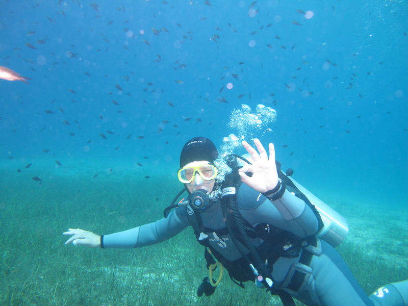one person, diving, scuba diving, sea, sport, aqualung - diving equipment, 2K, outdoors, animals in the wild, ocean, underwater diving, underwater, marine