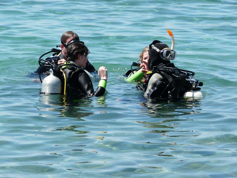 animal, nature, aqualung - diving equipment, day, divers, real people, checking, scuba diving, sport, water, outdoors, adventure, aquatic sport, underwater