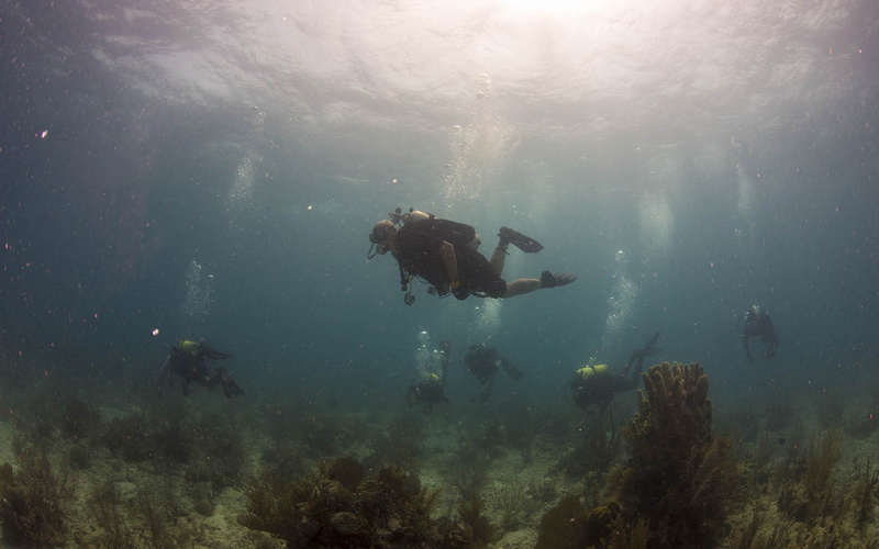 outdoors, underwater, scuba diving, sea life, exploration, aqualung - diving equipment, nature, people, diving flipper, leisure activity, real people, adventure